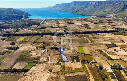  EŞSİZ DOĞANIN İÇİN DE SATILIK TARLA