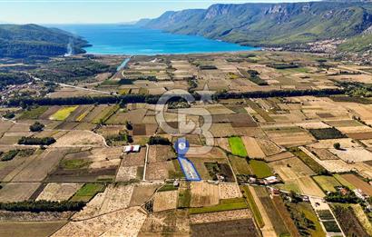  EŞSİZ DOĞANIN İÇİN DE SATILIK TARLA