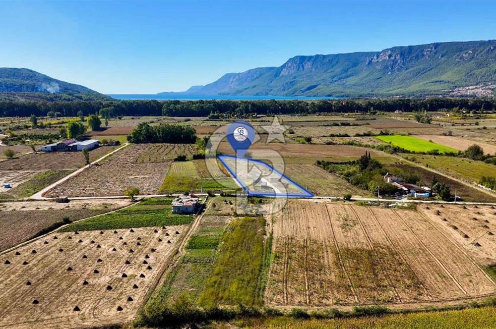  EŞSİZ DOĞANIN İÇİN DE SATILIK TARLA