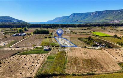  EŞSİZ DOĞANIN İÇİN DE SATILIK TARLA