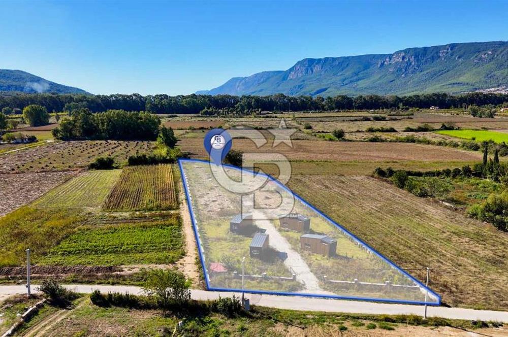  EŞSİZ DOĞANIN İÇİN DE SATILIK TARLA