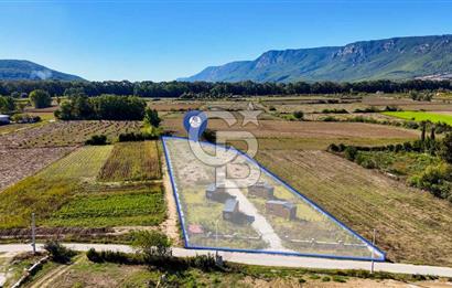  EŞSİZ DOĞANIN İÇİN DE SATILIK TARLA