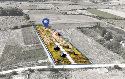  EŞSİZ DOĞANIN İÇİN DE SATILIK TARLA