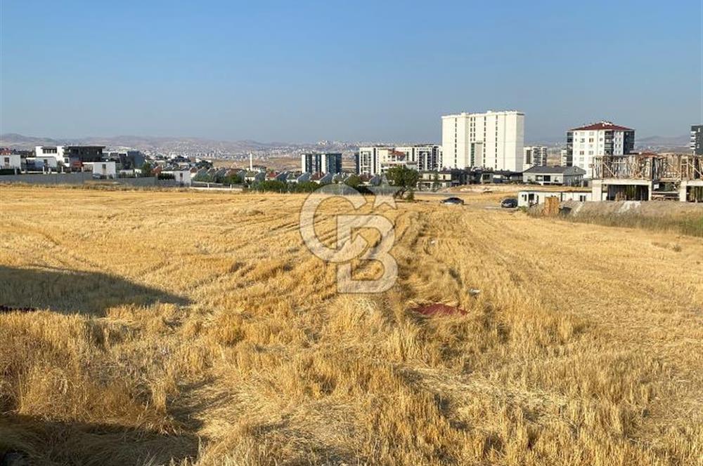 BAĞLICA VİLLALAR BÖLGESİNDE 1184 M2 KOOPERATİFTEN SATILIK ARSA