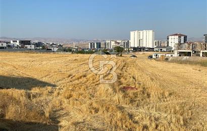 BAĞLICA VİLLALAR BÖLGESİNDE 1184 M2 KOOPERATİFTEN SATILIK ARSA