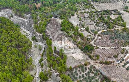 CB ARDENDEN ANTALYA FİNİKE ERNEZDE 19.749 M2 SATILIK TARLA