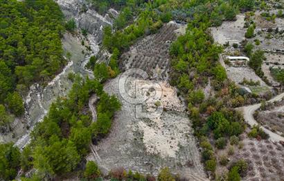 CB ARDENDEN ANTALYA FİNİKE ERNEZDE 19.749 M2 SATILIK TARLA