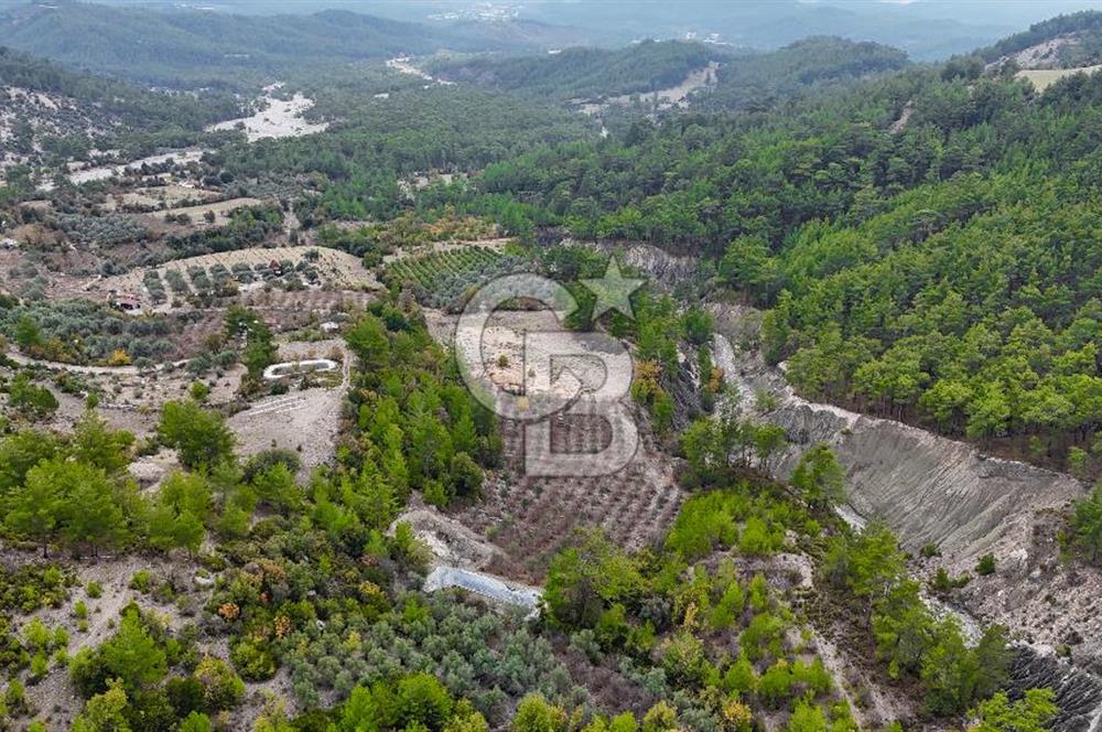 CB ARDENDEN ANTALYA FİNİKE ERNEZDE 19.749 M2 SATILIK TARLA