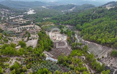 CB ARDENDEN ANTALYA FİNİKE ERNEZDE 19.749 M2 SATILIK TARLA