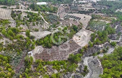 CB ARDENDEN ANTALYA FİNİKE ERNEZDE 19.749 M2 SATILIK TARLA