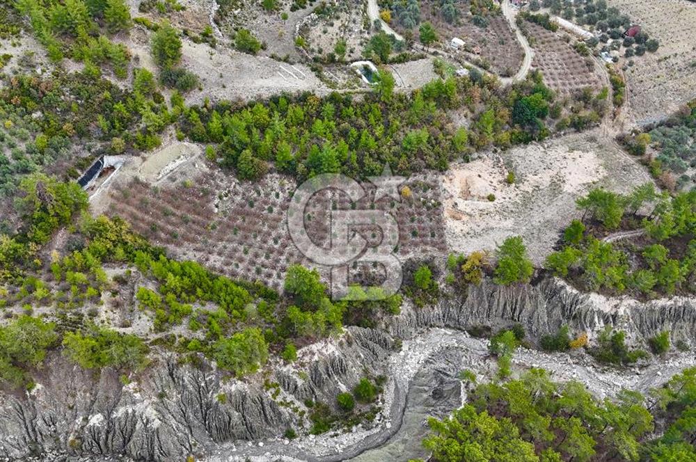 CB ARDENDEN ANTALYA FİNİKE ERNEZDE 19.749 M2 SATILIK TARLA