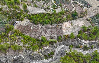 CB ARDENDEN ANTALYA FİNİKE ERNEZDE 19.749 M2 SATILIK TARLA