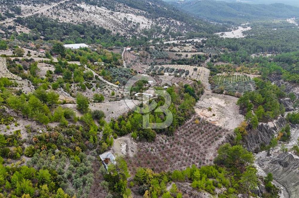 CB ARDENDEN ANTALYA FİNİKE ERNEZDE 19.749 M2 SATILIK TARLA