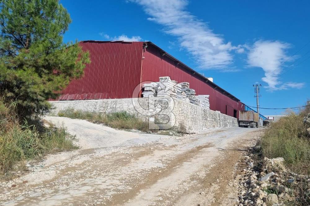 Muğla Menteşe Salihpaşalar’da 4.170 m² Ticari İmarlı Arsa 