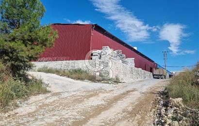 Muğla Menteşe Salihpaşalar’da 4.170 m² Ticari İmarlı Arsa 