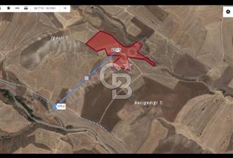 ANKARA POLATLI POYRAZ MEVKİİNDE 395 M2 TARLA 