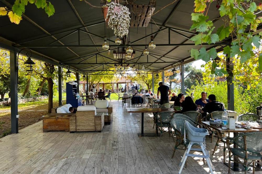 MUSELAND-BORNOVA HOMEROS'TA DEVREN KİRALIK RESTORAN&KAHVALTI SALONU