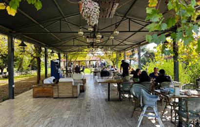 MUSELAND-BORNOVA HOMEROS'TA DEVREN KİRALIK RESTORAN&KAHVALTI SALONU