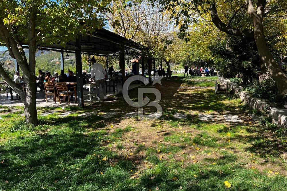 MUSELAND-BORNOVA HOMEROS'TA DEVREN KİRALIK RESTORAN&KAHVALTI SALONU