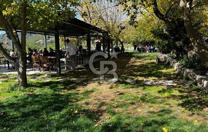 MUSELAND-BORNOVA HOMEROS'TA DEVREN KİRALIK RESTORAN&KAHVALTI SALONU