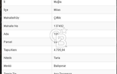 MUĞLA MİLAS ÇİFTLİK MAHALLESİ ZEYTİNLİK