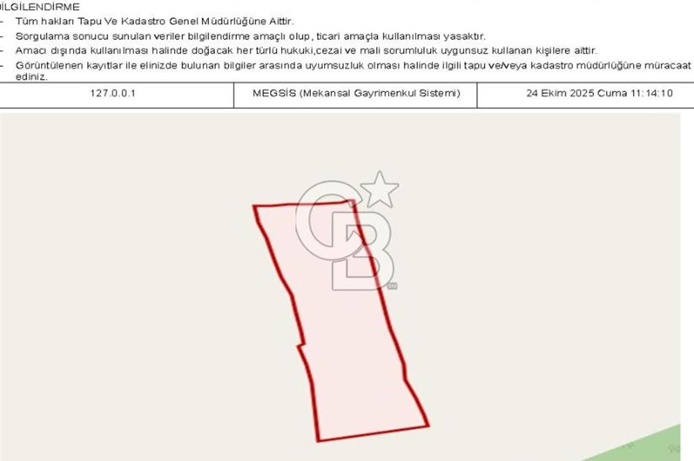 MUĞLA MİLAS ÇİFTLİK MAHALLESİ ZEYTİNLİK