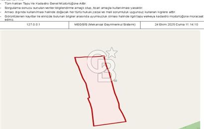 MUĞLA MİLAS ÇİFTLİK MAHALLESİ ZEYTİNLİK