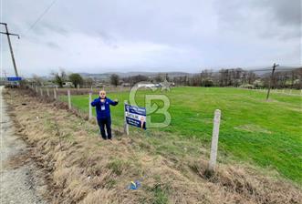 ÇATALCA BINKILIÇ ANA YOL KENARI + DERE MANZARALI 4.109 m² TARLA