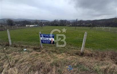 ÇATALCA BINKILIÇ ANA YOL KENARI + DERE MANZARALI 4.109 m² TARLA