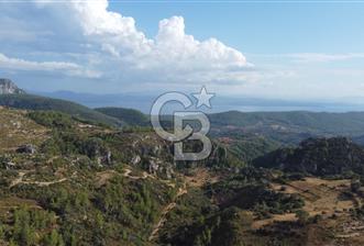 Muğla Menteşede Bağ Evi Yapımına Uygun 10.172 m² Tarla!