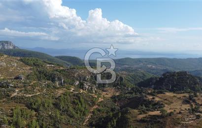 Muğla Menteşede Bağ Evi Yapımına Uygun 10.172 m² Tarla!