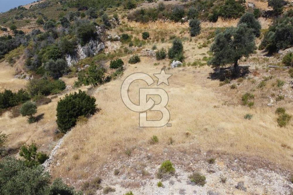 Muğla Menteşede Bağ Evi Yapımına Uygun 10.172 m² Tarla!