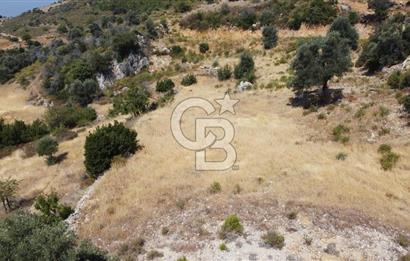 Muğla Menteşede Bağ Evi Yapımına Uygun 10.172 m² Tarla!