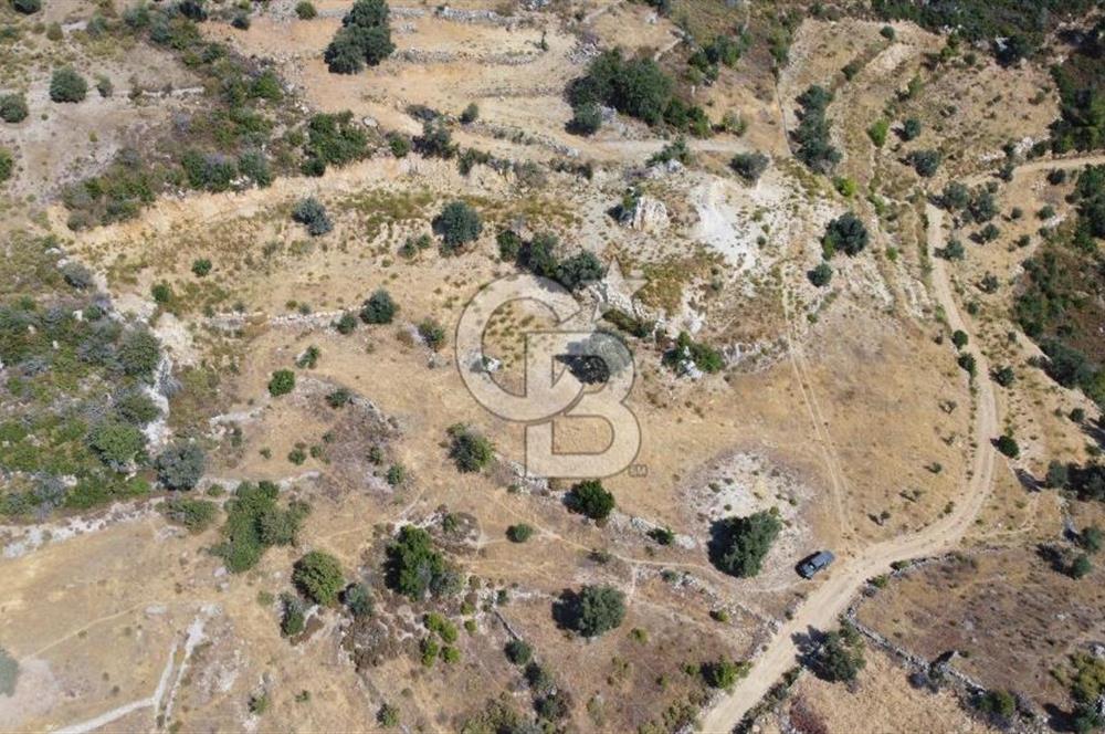 Muğla Menteşede Bağ Evi Yapımına Uygun 10.172 m² Tarla!