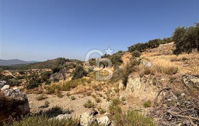Muğla Menteşede Bağ Evi Yapımına Uygun 10.172 m² Tarla!