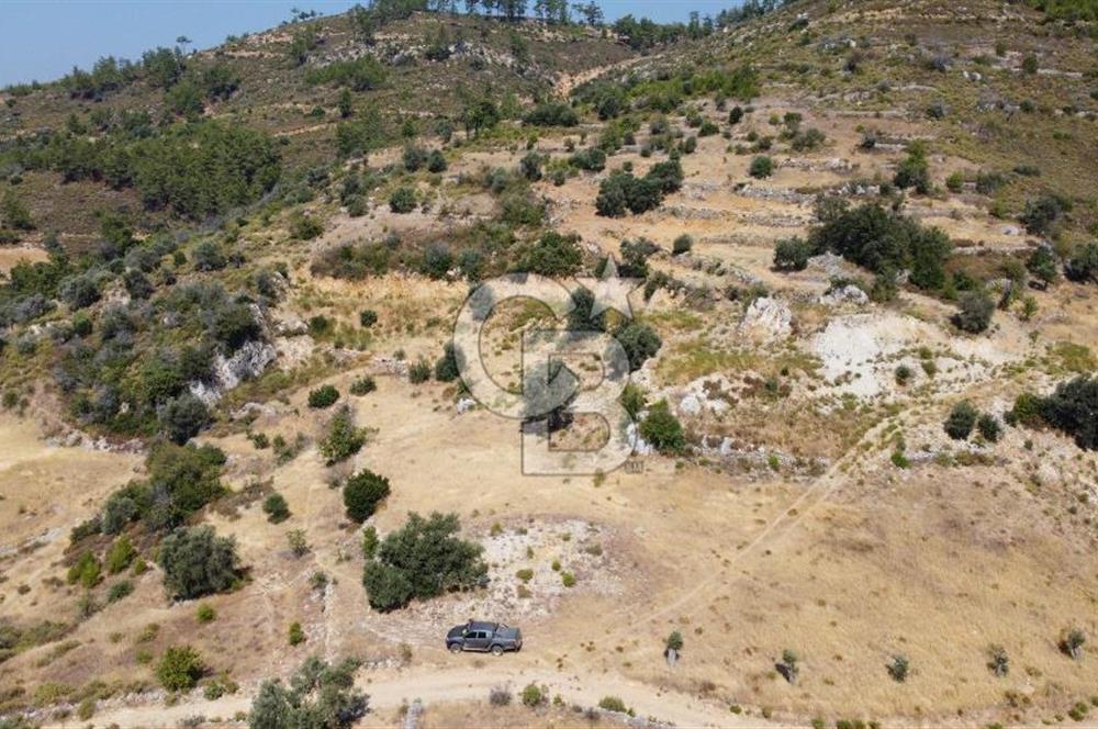Muğla Menteşede Bağ Evi Yapımına Uygun 10.172 m² Tarla!
