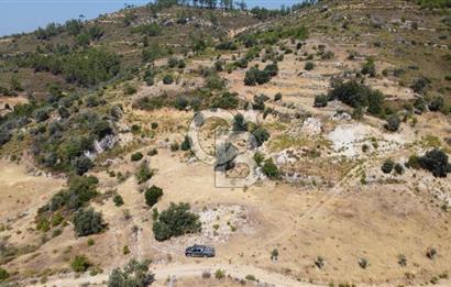 Muğla Menteşede Bağ Evi Yapımına Uygun 10.172 m² Tarla!