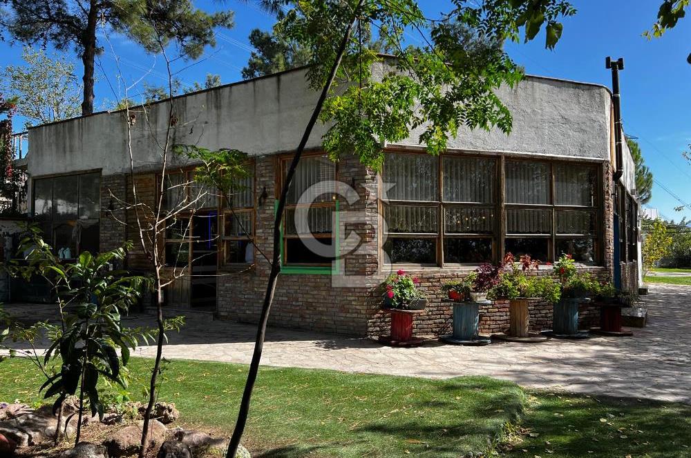 MUSELAND-BORNOVA HOMEROS'TA DEVREN KİRALIK RESTORAN&KAHVALTI SALONU