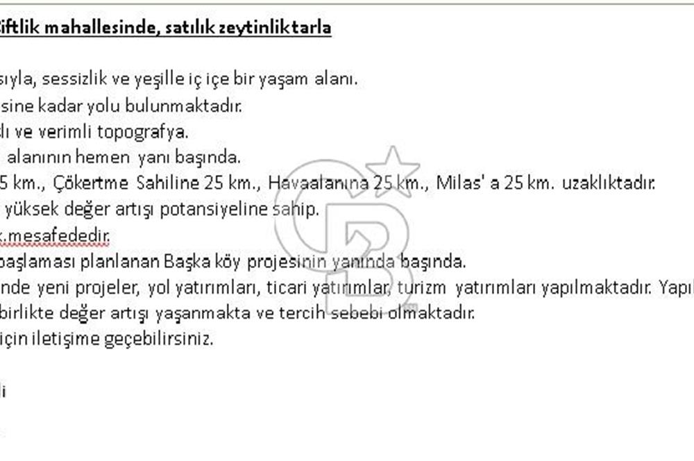 MUĞLA MİLAS ÇİFTLİK MAHALLESİ ZEYTİNLİK