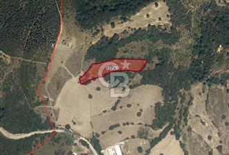 CB EAGLE'dan SUSURLUK EKİNLİK'DE 7.235 m² SATILIK TARLA