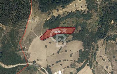 CB EAGLE'dan SUSURLUK EKİNLİK'DE 7.235 m² SATILIK TARLA