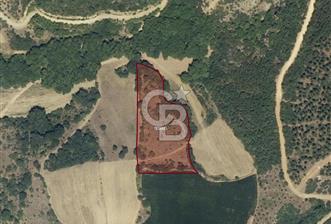 CB EAGLE'dan SUSURLUK KARAKÖY'DE 8.200 m² SATILIK TARLA