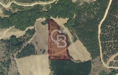 CB EAGLE'dan SUSURLUK KARAKÖY'DE 8.200 m² SATILIK TARLA