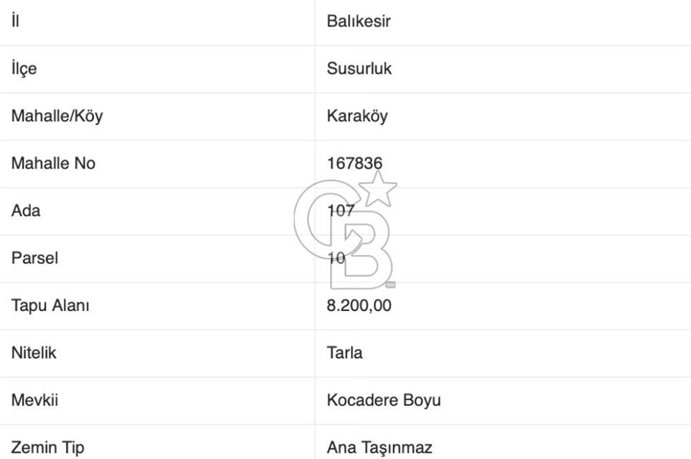 CB EAGLE'dan SUSURLUK KARAKÖY'DE 8.200 m² SATILIK TARLA