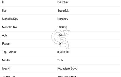 CB EAGLE'dan SUSURLUK KARAKÖY'DE 8.200 m² SATILIK TARLA