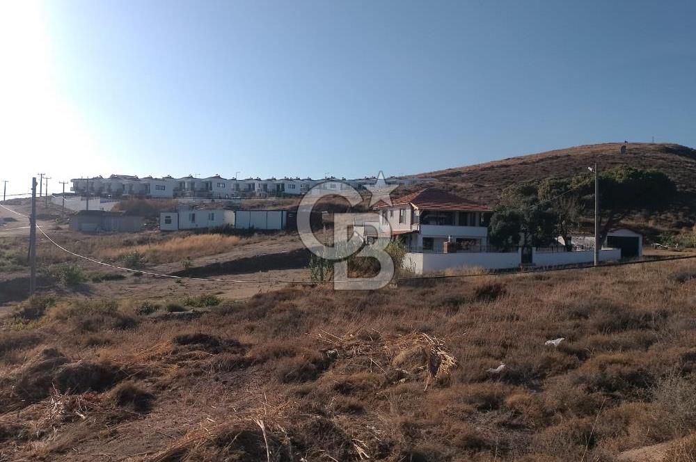 AVŞA ADASINDA YATIRIMA UYGUN SATILIK ARSA HİSSESİ