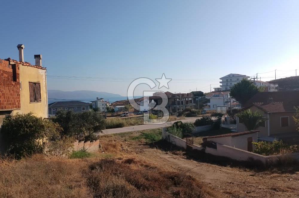 AVŞA ADASINDA YATIRIMA UYGUN SATILIK ARSA HİSSESİ