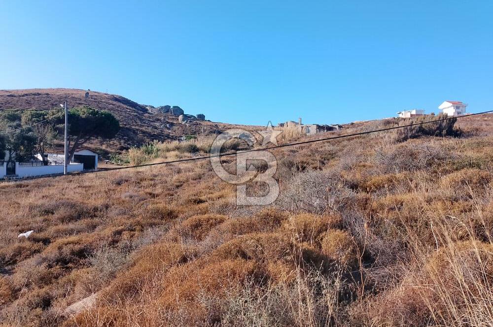 AVŞA ADASINDA YATIRIMA UYGUN SATILIK ARSA HİSSESİ