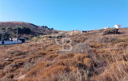 AVŞA ADASINDA YATIRIMA UYGUN SATILIK ARSA HİSSESİ