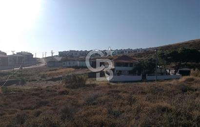 AVŞA ADASINDA YATIRIMA UYGUN SATILIK ARSA HİSSESİ